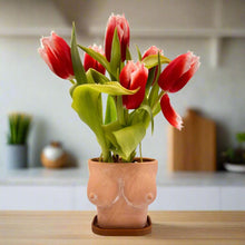 Load image into Gallery viewer, 🔥 Body Part Terracotta Planters