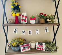 Load image into Gallery viewer, Strawberry Patch Tiered Tray Set